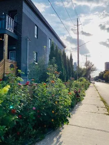 Bungalow 3 Bedrooms Space Share Toronto Canada 0*,  Kanada